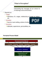 Perception and Decision Making Ppt for the Students