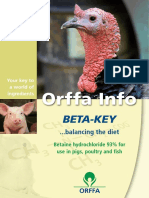 Leaflet Beta Key
