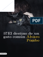 El Destino de Un Gato Comun