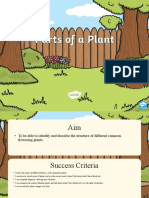 Parts of A Plant PowerPoint