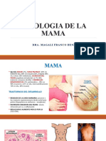 Teoria Patologia de La Mama