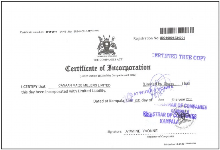Certificate of Incorporation PDF