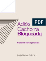 02-AdiosCachorra Bloqueada Ejercicios 230818 175727