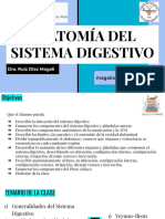 Sistema Digestivo Dra Ruiz Diaz Magali