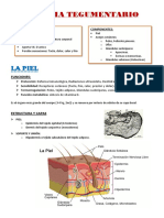 Sistema Tegumentario