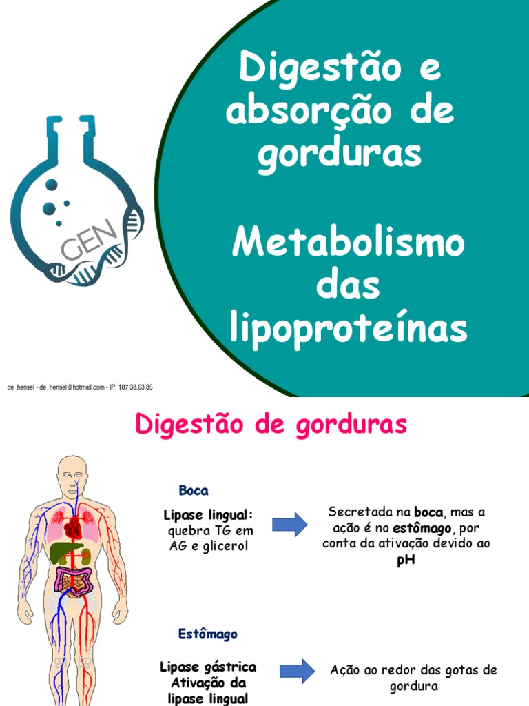 01 - Digestão e Absorção de Gorduras | PDF | Colesterol | Digestão
