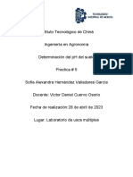 REPORTE DE PRACTICA EDA EX (Recuperado Automáticamente)