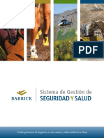 Sistema de Gestion de Seguridad y Salud Barrick