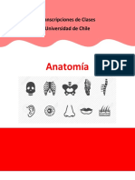 Anatomia