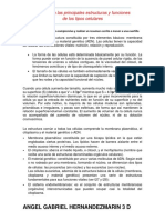 5 Identifica Las Principales Estructuras y Funciones de Los Tipos Celulares