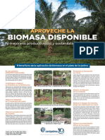 Afiche Biomasa Correcciones