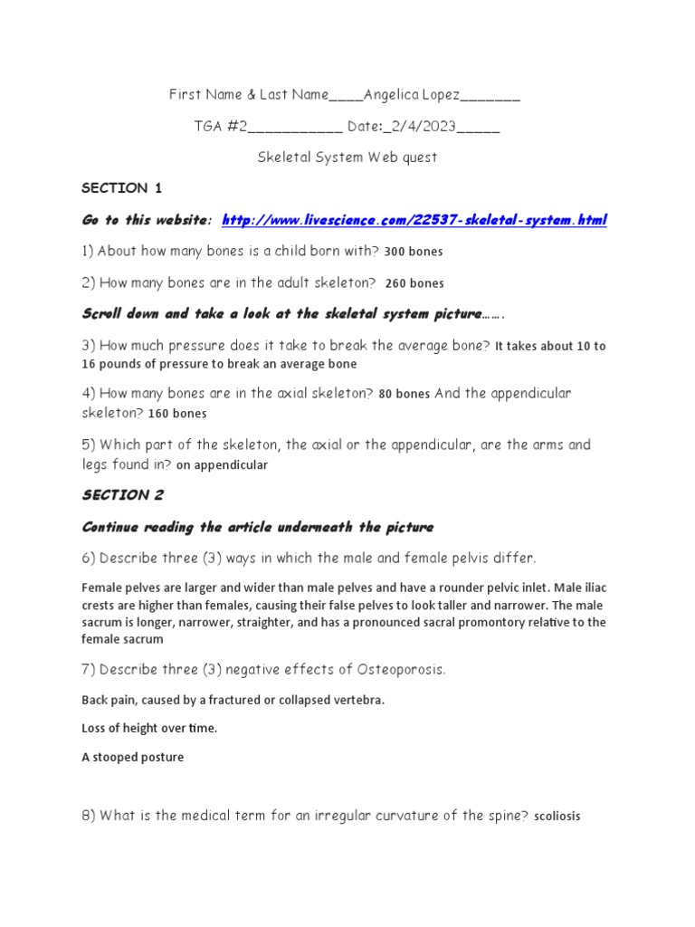 Skeleton Pdf Pelvis Vertebra