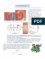 Insuficiência Adrenal