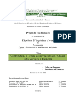 Projet de Fin D'etudes: Olea Europea A Tlemcen