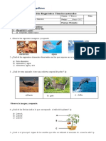 Prueba Diagnostico Ciencias Naturales 1ºA y B (2480)