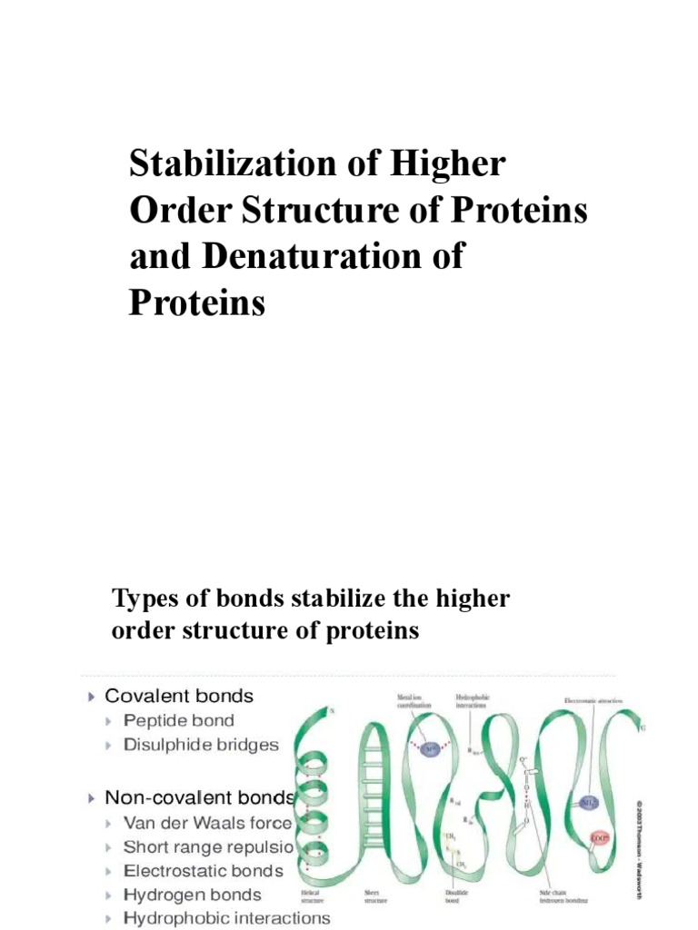 Stabilization of Protein Structure and Denaturation PDF