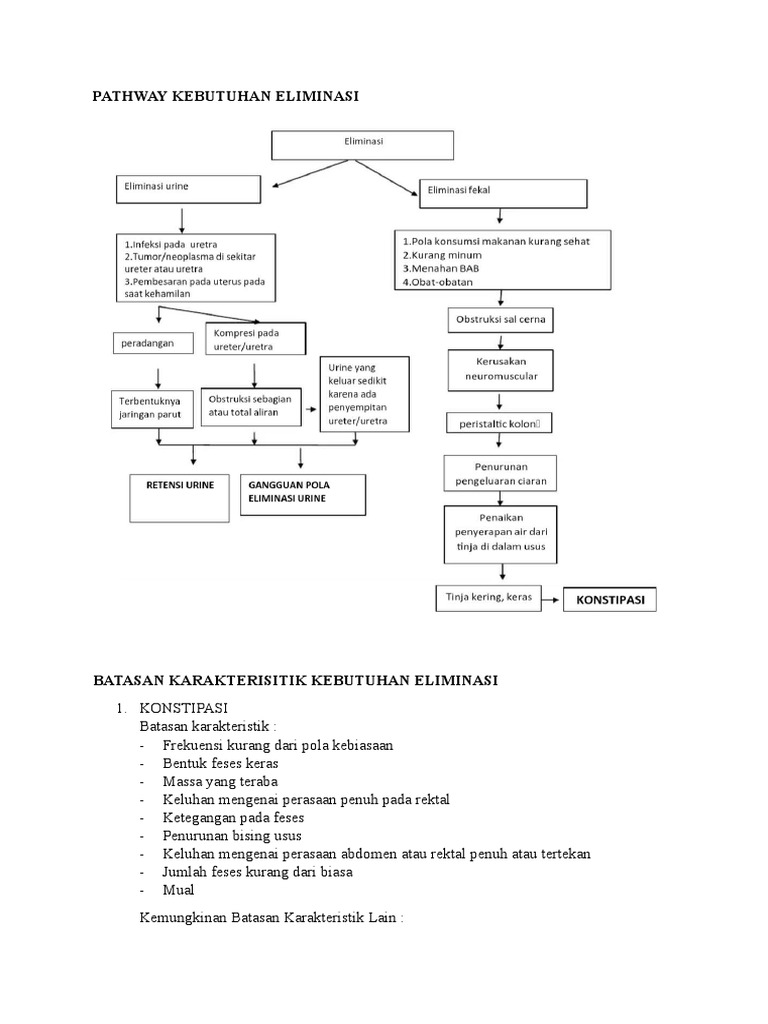 Pathway kebutuhan eliminasi pdf