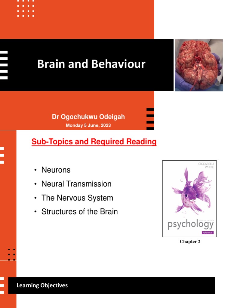 [Pdf] 2. Brains And Behavior | Brain-behavior relationship: are we our ...