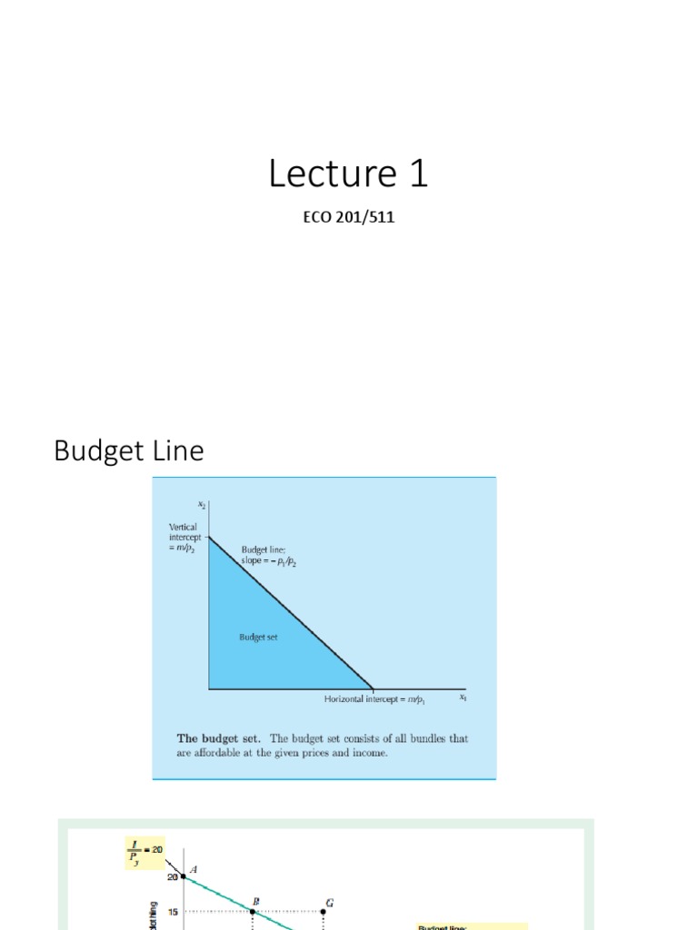 Budget Line and Income Changes Explained | PDF