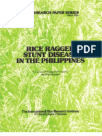 IRPS 16 Rice Ragged Stunt Disease in the Philippines
