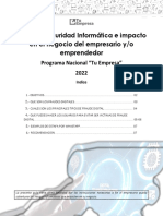 Guia para Usuario Pnte - Seguridad Informatica