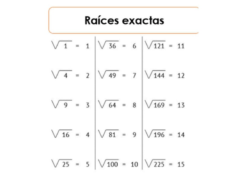 Raices Exactas | PDF