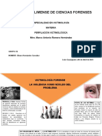 Infograma Victimologia 1