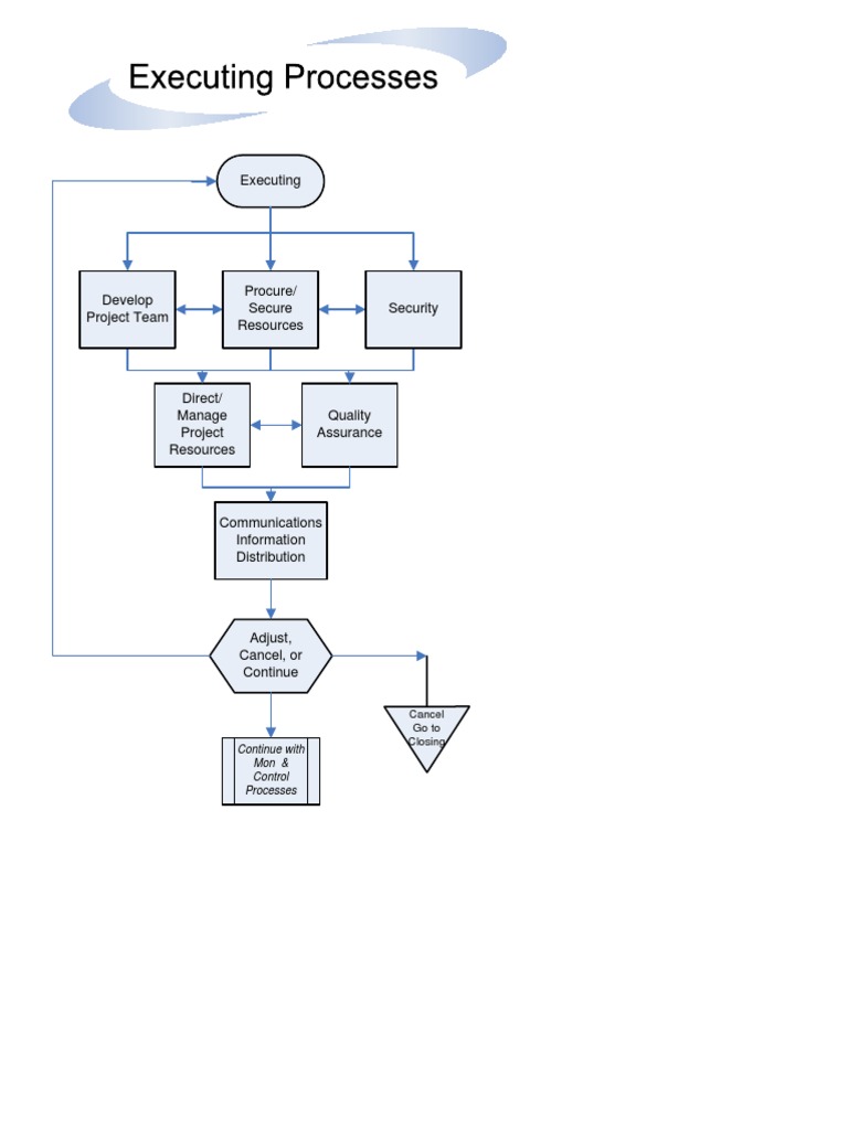 Project Execution and Resource Management | PDF