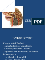 5.CEREBELLUM