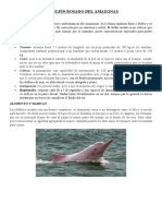 El Delfin Rosado Del Amazonas
