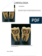 Introduã Ã o A Cariologia
