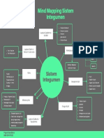 Sistem Integumen Puput