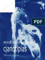 Produ Ktion Reprodu Ktion Cianotipias