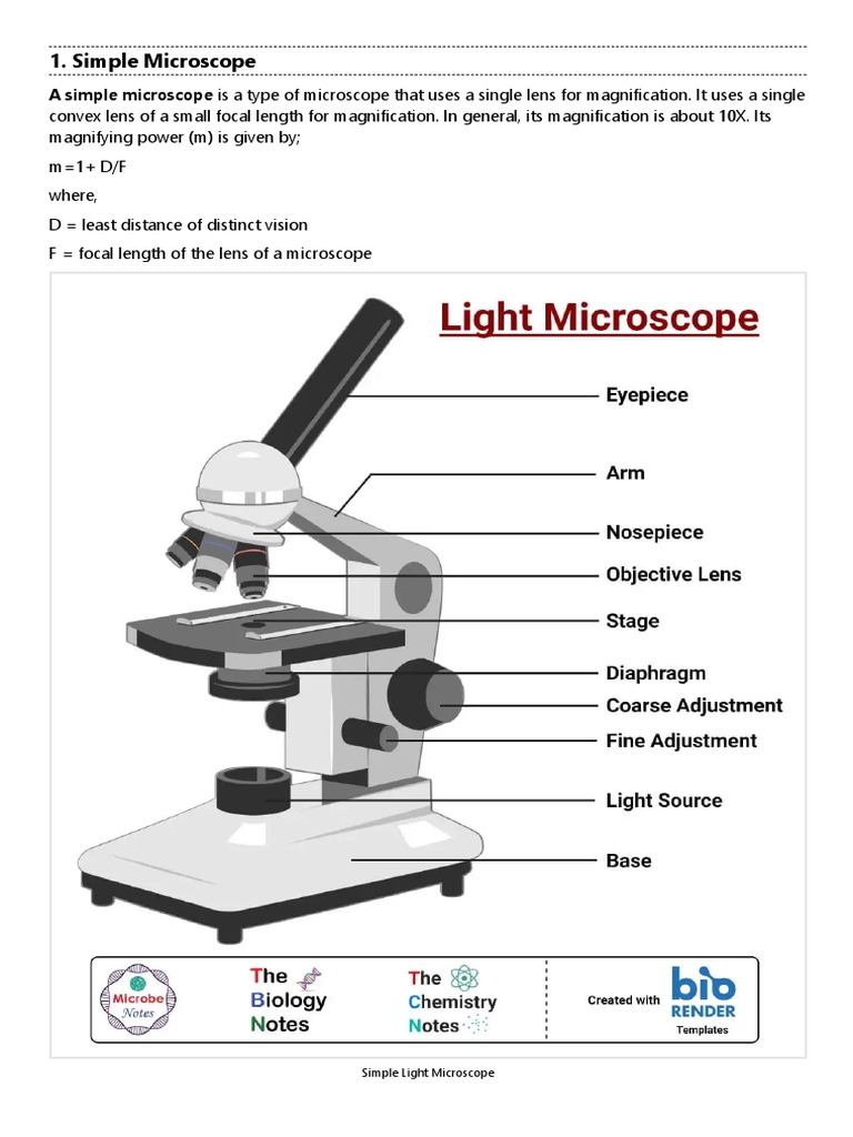 16 Types of Microscopes with Parts, Functions, Diagrams PDF
