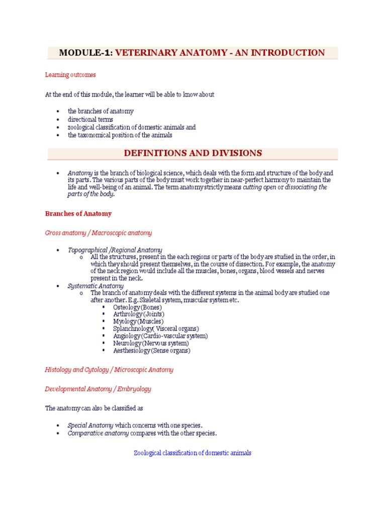 111 Veterinary Gross Anatomy I Osteology Arthrology Biomechanics
