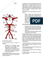 Superfijas Neurologia