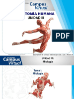 Enfermeria Anatomía Humana Unidad Iii