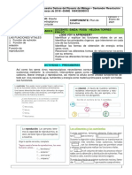 Guia Funciones Vitales Biologia Grado 6 N