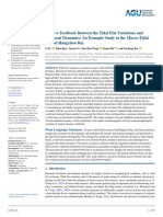 Positive Feedback Between The Tidal Flat Variation