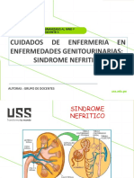 Sindrome Nefritico y Nefrotico