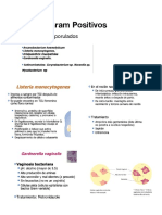 Bacilos Gram Positivos PDF