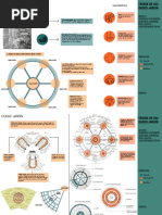 Modelos Sectoriales de Homer Hoyt | PDF | Teoría | Transporte