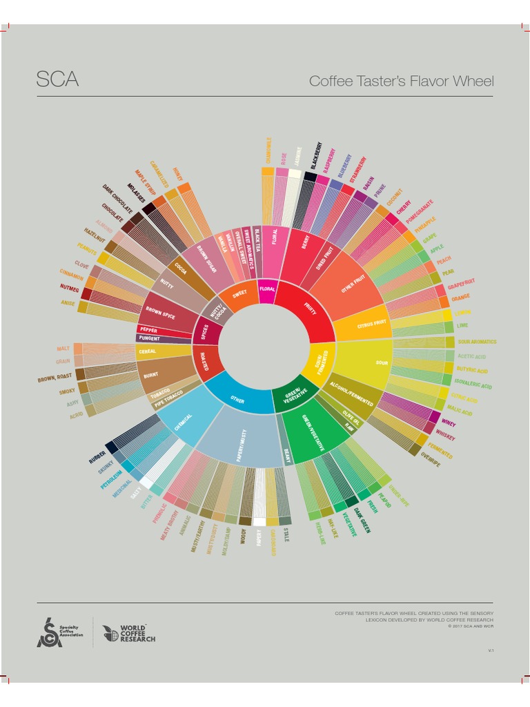 AW SCA Flavor-Wheel Poster ENG 2018 | PDF