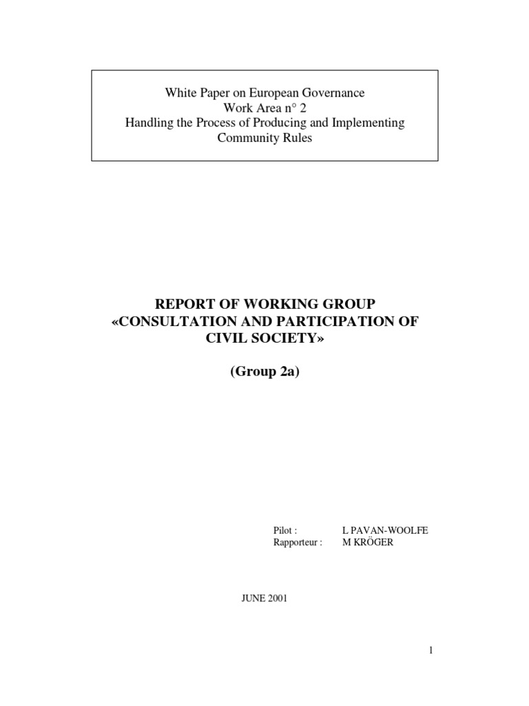 Civil Society Report - en | PDF | Non Governmental Organization ...
