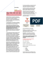 problema 4- uc4