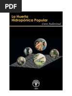 HIDROPONIA