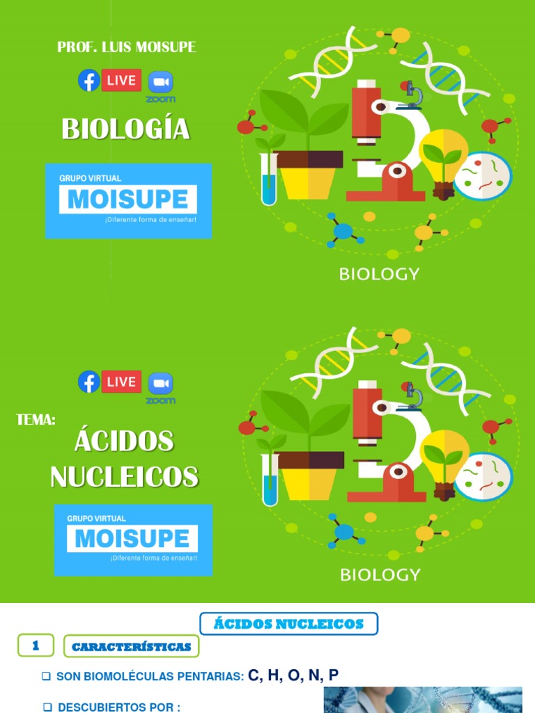 ÁCIDOS NUCLEICOS PDF Rna Adn