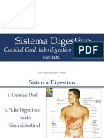 Sistema Digestivo I y II - 2020 - 2