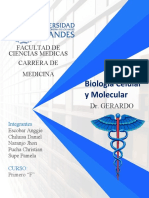 Tarea 9. Procesos de Alteración y Reparación Del ADN.