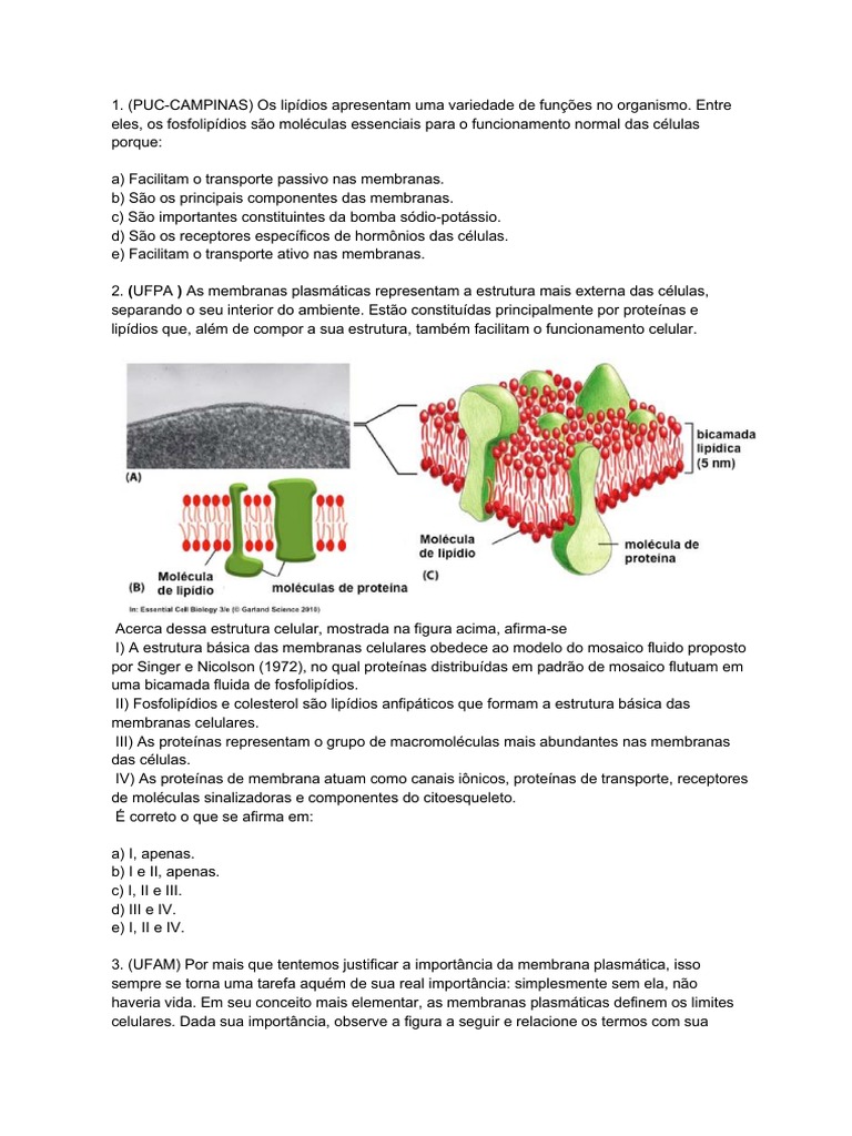 Questões sobre Membrana Plasmática | PDF | Membrana celular | Célula ...